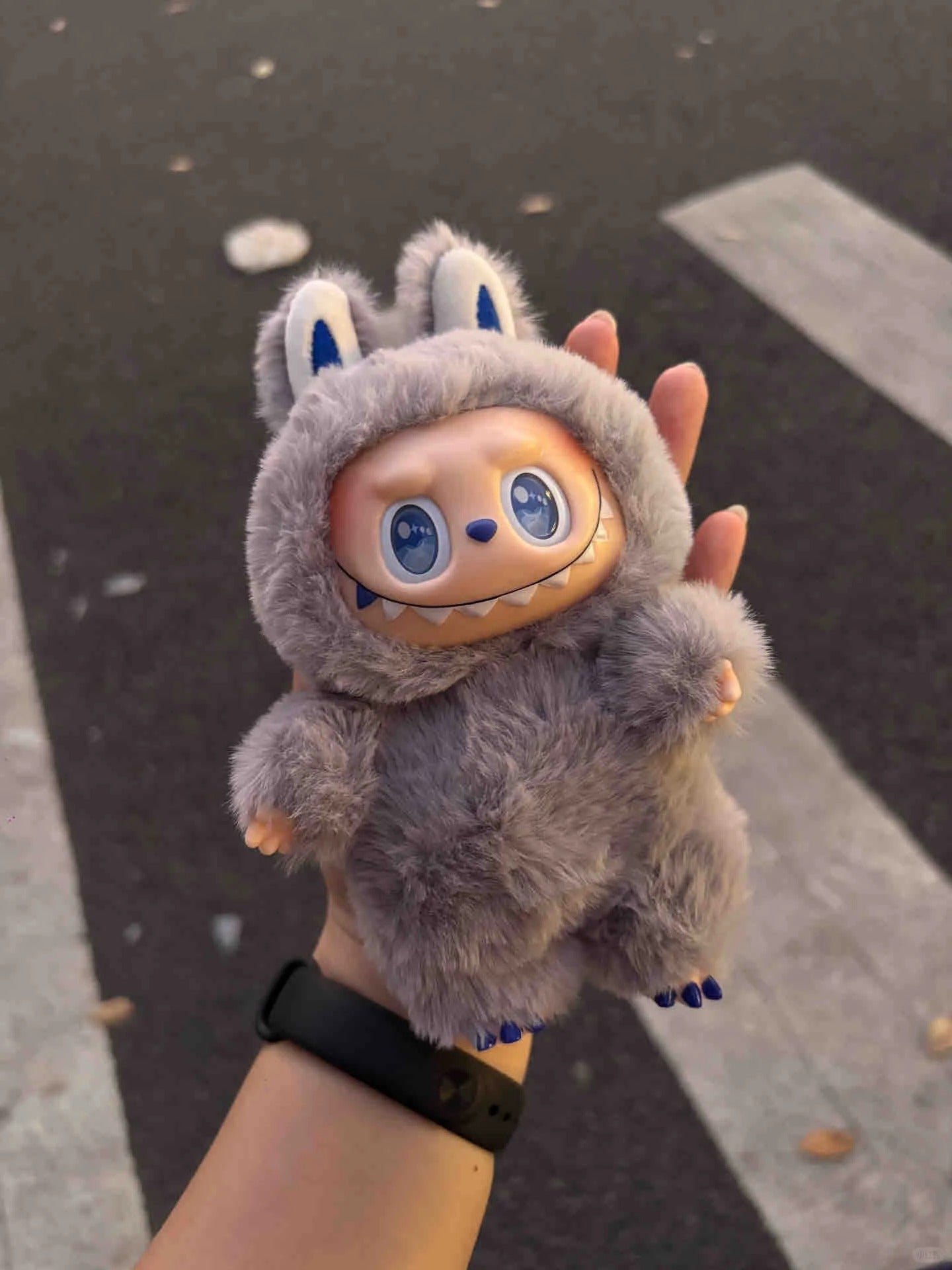 Original Design- Little Huihui| Handmade Modification labubu Doll
